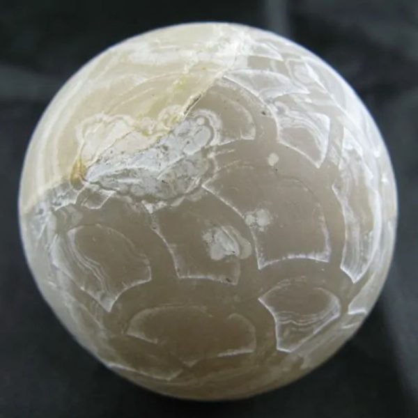 Earth Dragon Ball Pearl - Type A3 (White) - Image 4