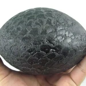 Jumbo Earth Dragon Pearl - Type A1