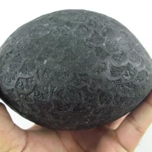 Jumbo Earth Dragon Pearl - Type A2