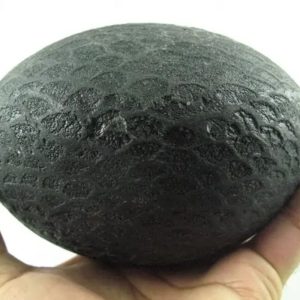 Jumbo Earth Dragon Pearl - Type A6