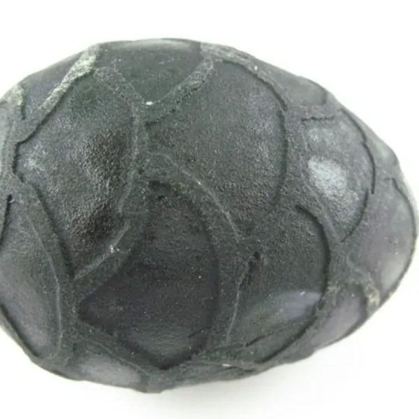 Earth Dragon Pearl - Type G1 - Image 5