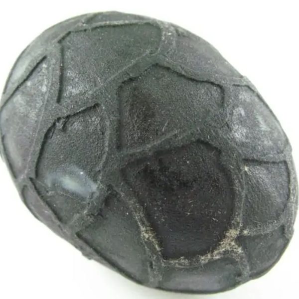 Earth Dragon Pearl - Type G1 - Image 2