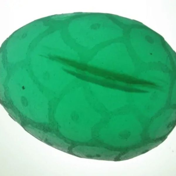 Earth Dragon Pearl - Type F1 - Image 5
