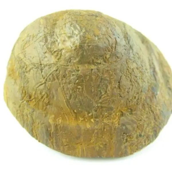 Earth Dragon Crown - Type D1 - Image 5