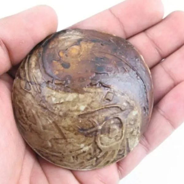 Earth Dragon Crown - Type F1 - Image 3
