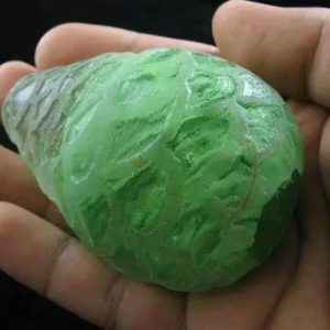 Rangsang Fire Dragon Oval F