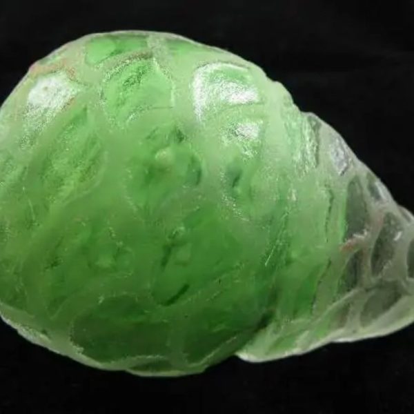 Rangsang Fire Dragon Oval F - Image 3