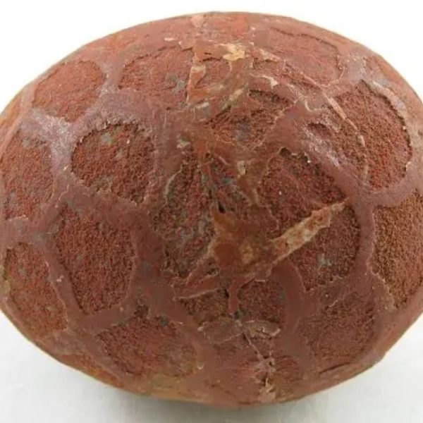 Fire Dragon Pearl - Type B2 - Image 3