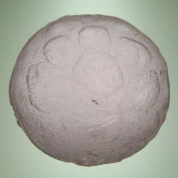 Sky Golden Dragon Pearl A1.3 (Flat Base) - Image 2