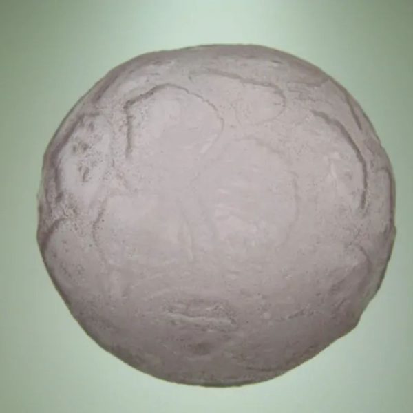Sky Golden Dragon Pearl A1.2 (Flat Base) - Image 2