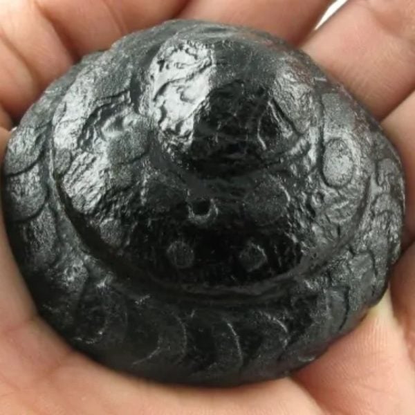 Black Dragon Crown - Type A5 (Crystal) - Image 3
