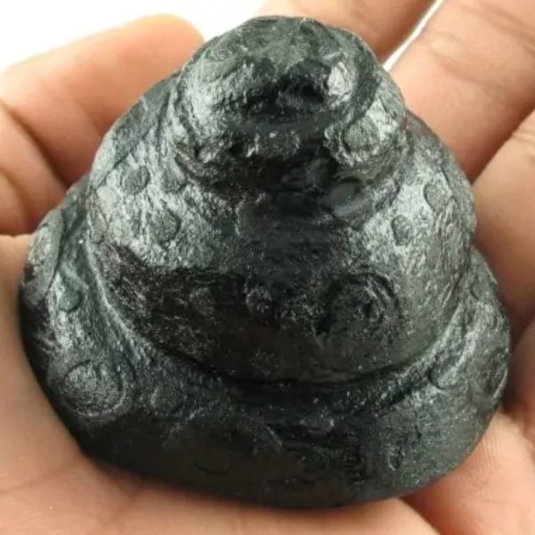 Black Dragon Crown - Type A8 (Crystal) - Image 3