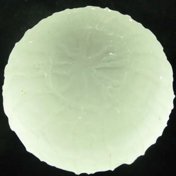 Rare Sky Dragon Crown Pearl - Type F (White) - Image 4