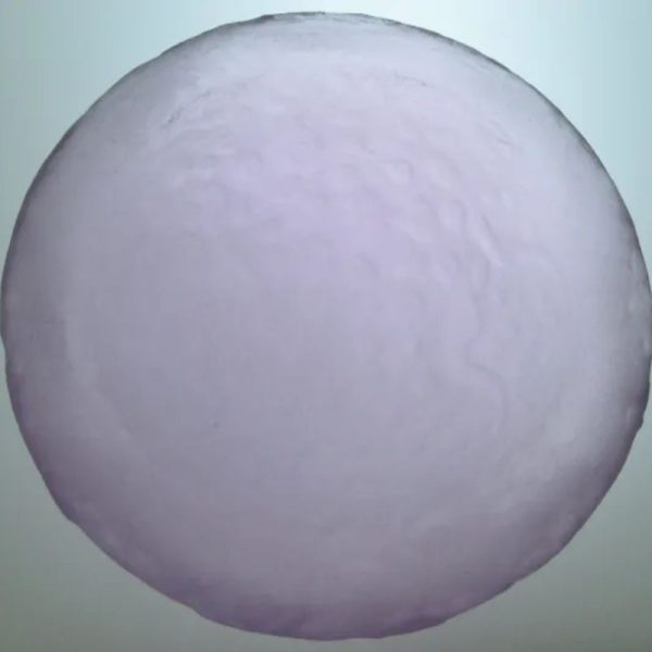 Sky Dragon Crown Pearl - Type C1.2 (Large) - Image 2