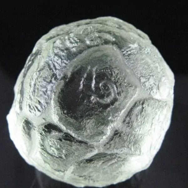 White Sea Dragon Ball - Type H1 - Image 5