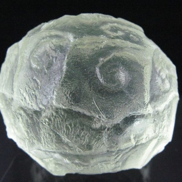 White Sea Dragon Ball - Type H3 - Image 6