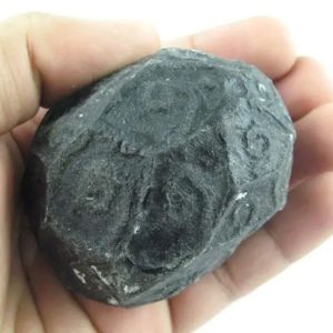 Black Sea Dragon Ball - Type J1