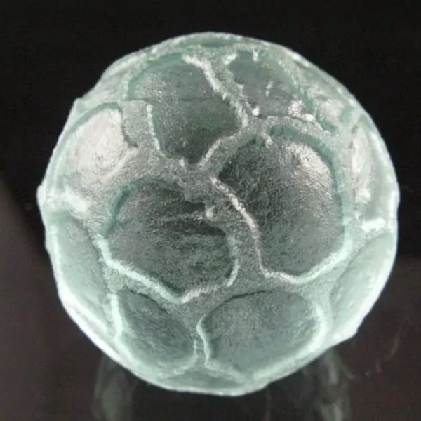 Sea Dragon Ball - Type I1 - Image 3