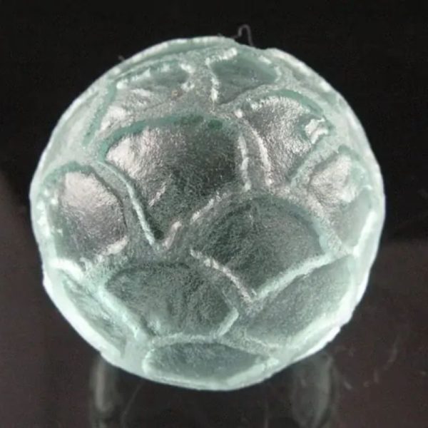 Sea Dragon Ball - Type I1 - Image 2