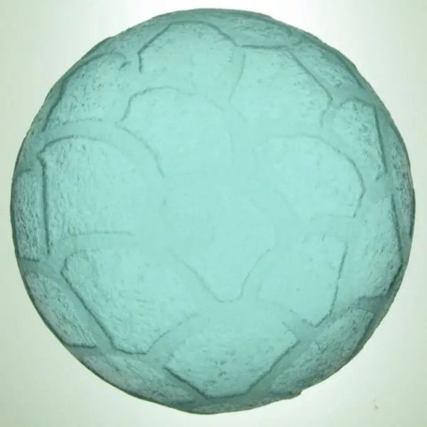 Sea Dragon Ball - Type K1.2 - Image 2