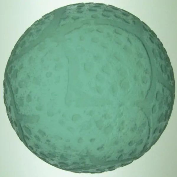 Sea Dragon Ball- Type J1 - Image 2