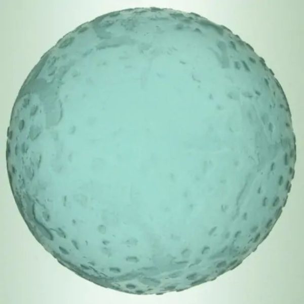 Sea Dragon Ball - Type J2 - Image 2