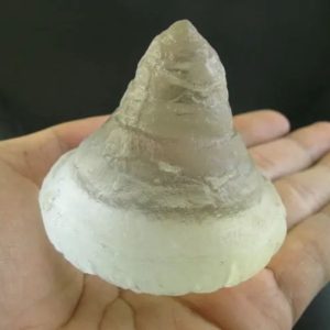 Water Dragon Crown - Type K1