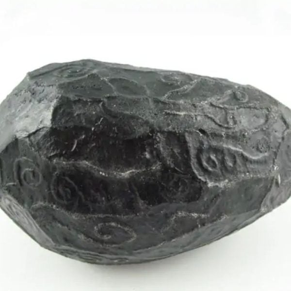 Black Sea Dragon Pearl - Type L1 - Image 5
