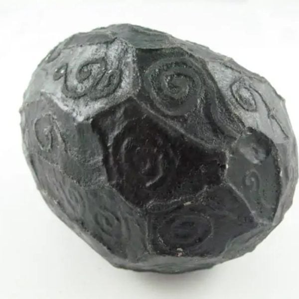 Black Sea Dragon Pearl - Type L1 - Image 2