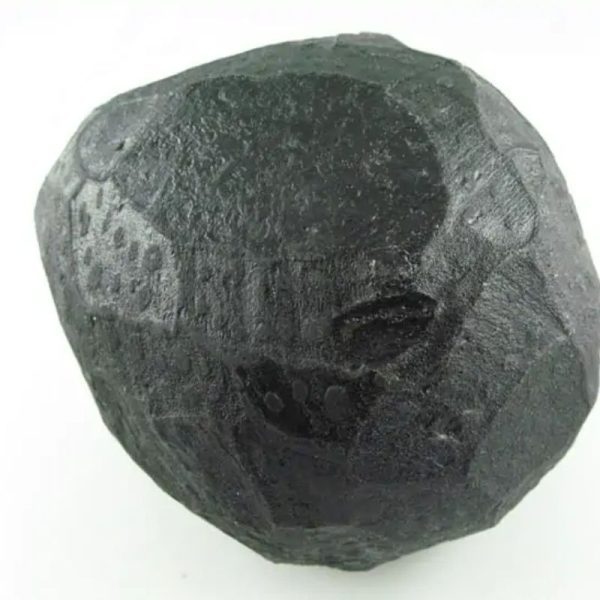 Black Sea Dragon Pearl - Type L2 - Image 2