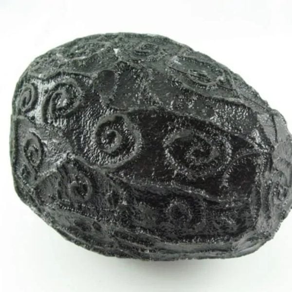 Black Sea Dragon Pearl - Type L3 - Image 2