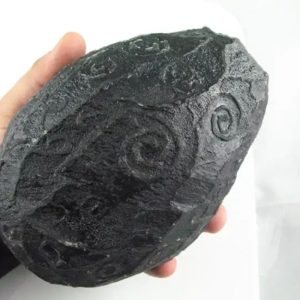 Black Sea Dragon Pearl - Type L3