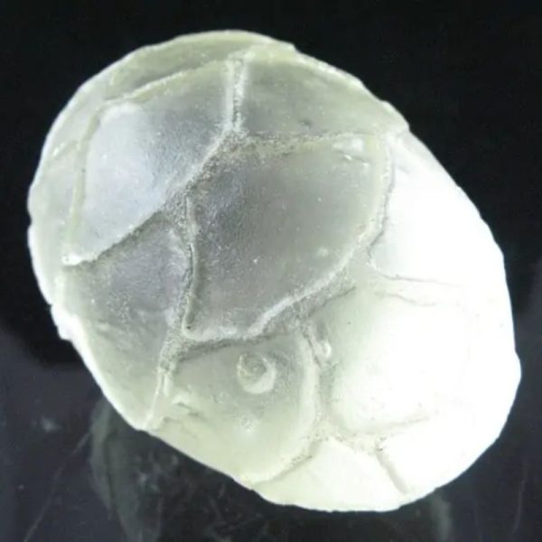 Sea Dragon Pearl - Type K3 - Image 2