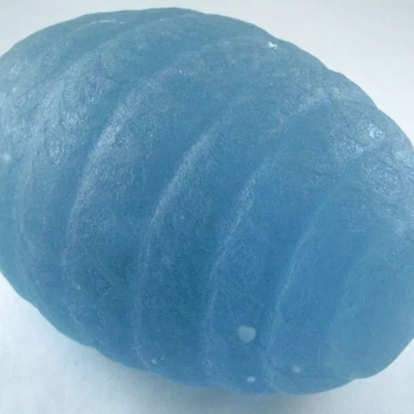 Sea Dragon Pearl - Type A (Light Blue Egg) - Image 6