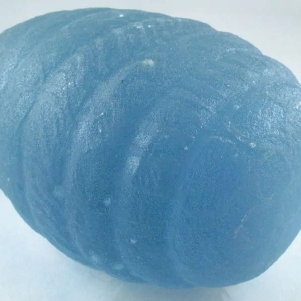 Sea Dragon Pearl - Type A (Light Blue Egg) - Image 5