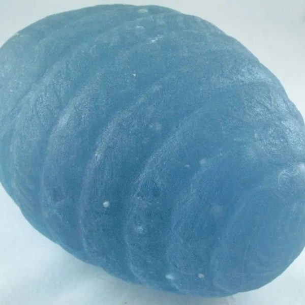 Sea Dragon Pearl - Type A (Light Blue Egg) - Image 2