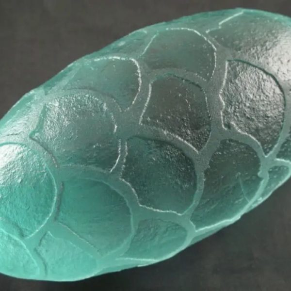 Sea Dragon Pearl - Type I2 - Image 5