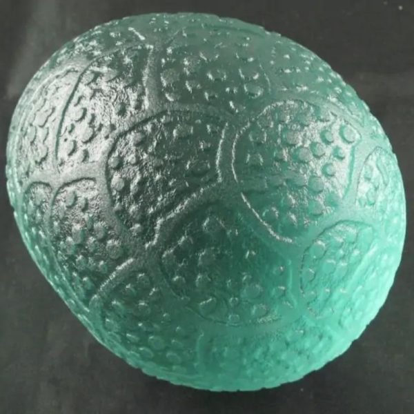 Sea Dragon Pearl - Type I4 - Image 6