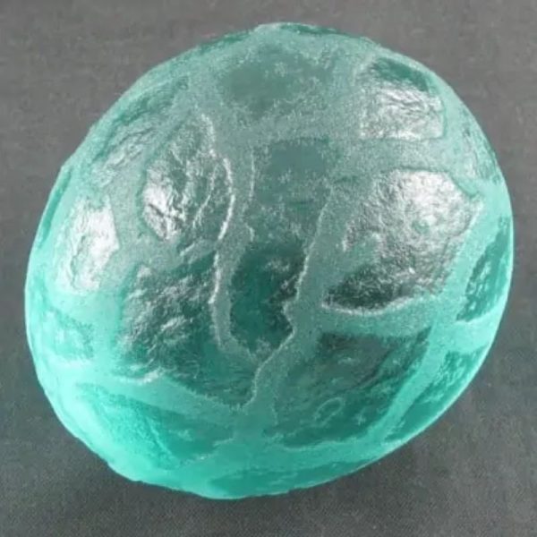 Sea Dragon Pearl - Type H2.1 - Image 5