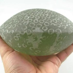 Jumbo Water Dragon Pearl - Type A3 (Oval)