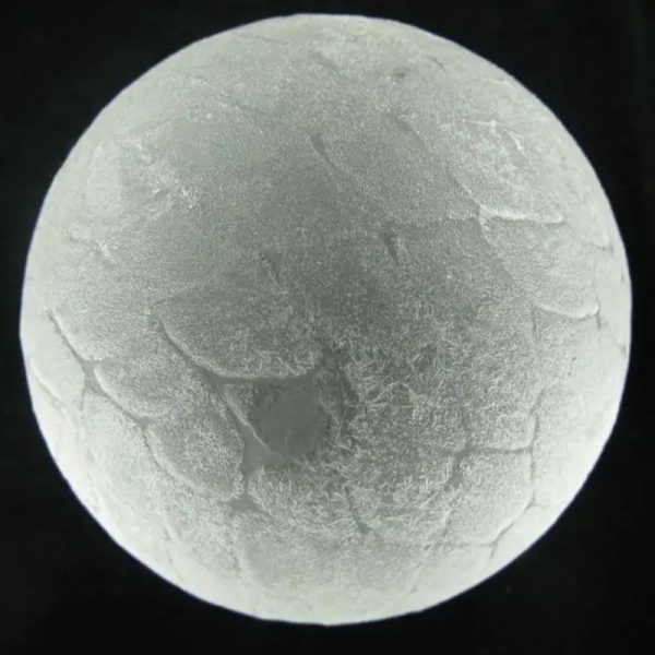 Super White Dragon Ball - Type A3 - Image 5