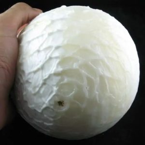 Silk Cloud Dragon Pearls - Type A