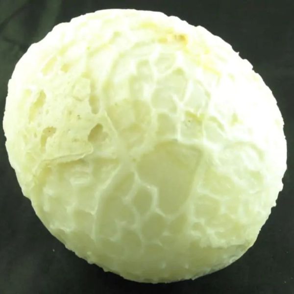 Silk Cloud Dragon C1 - Image 3