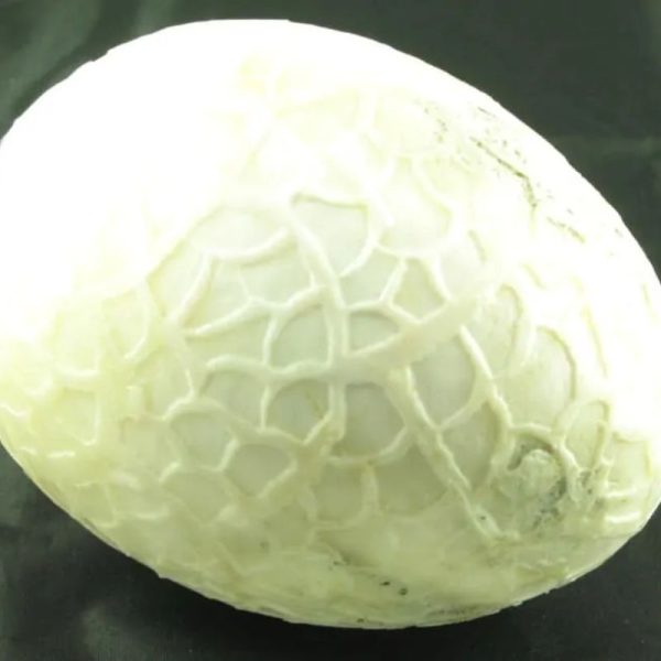 Silk Cloud Dragon C2 - Image 3