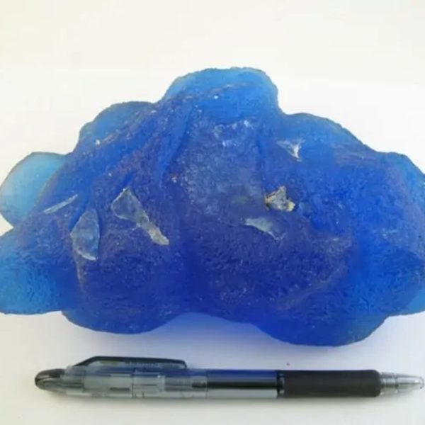 Head of Blue Dragon - Type A1 - Image 4