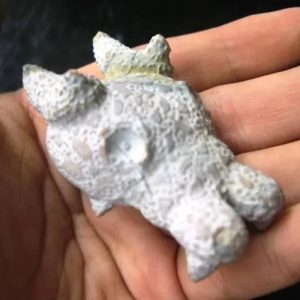 Dragon Head - Type FDH 14