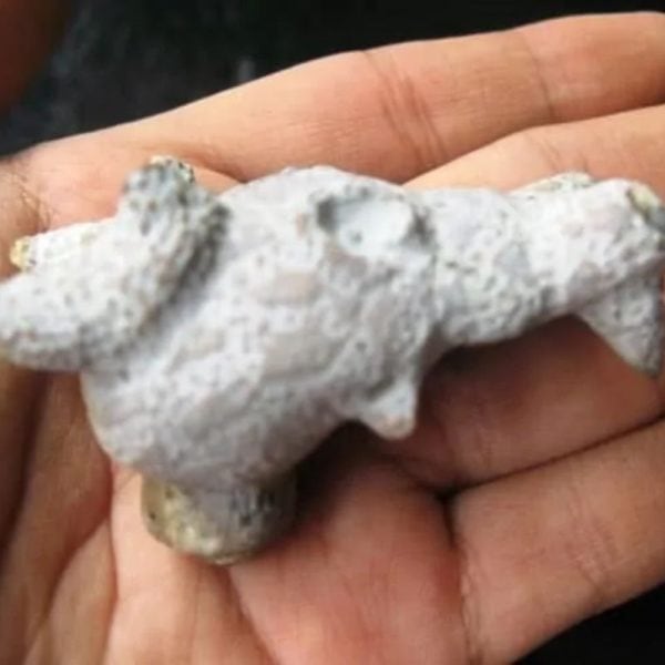 Dragon Head - Type FDH 14 - Image 6