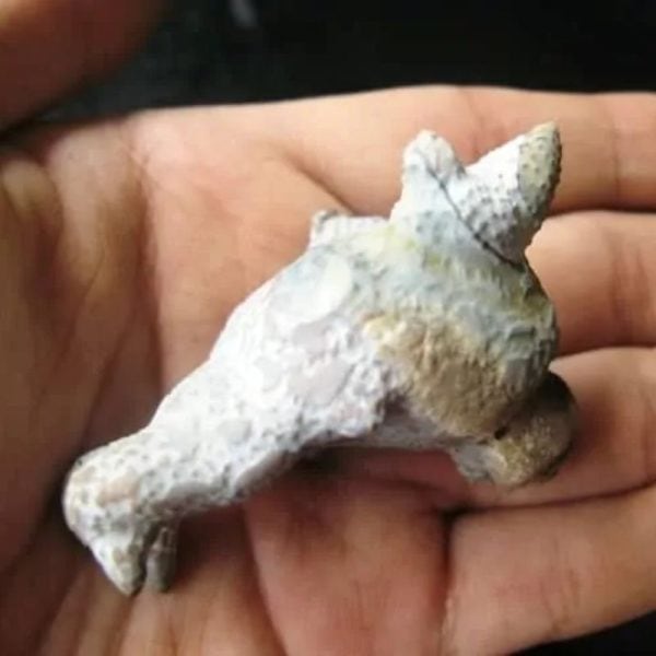 Dragon Head - Type FDH 14 - Image 5