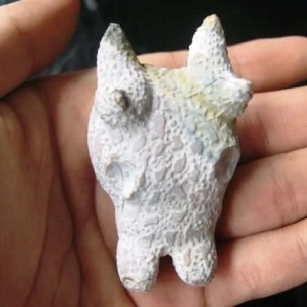 Dragon Head - Type FDH 14 - Image 3