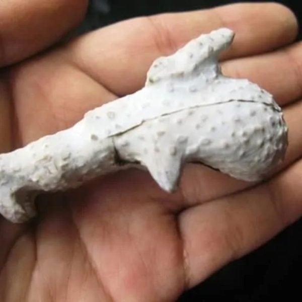 Dragon Head - Type FDH 11 - Image 5